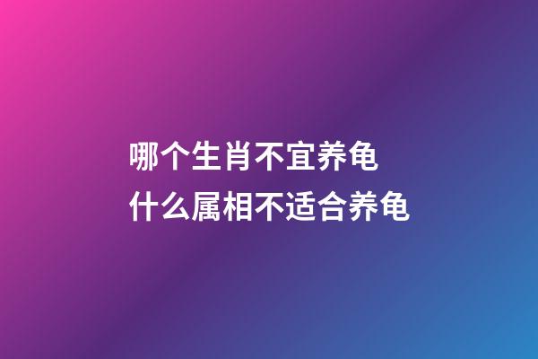 哪个生肖不宜养龟 什么属相不适合养龟